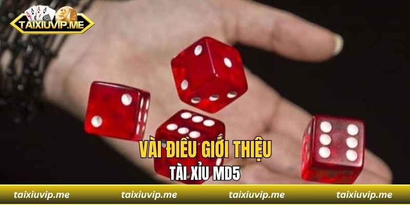 Vài điều giới thiệu tài xỉu MD5